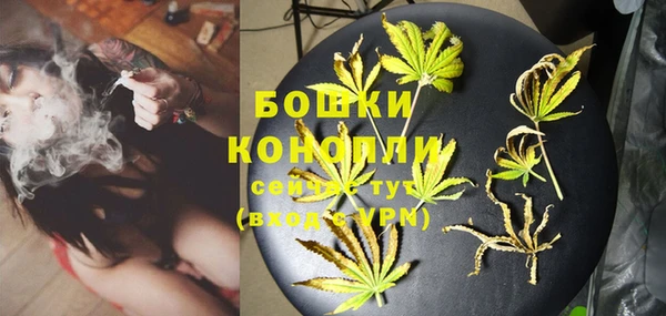 шишки Алексеевка